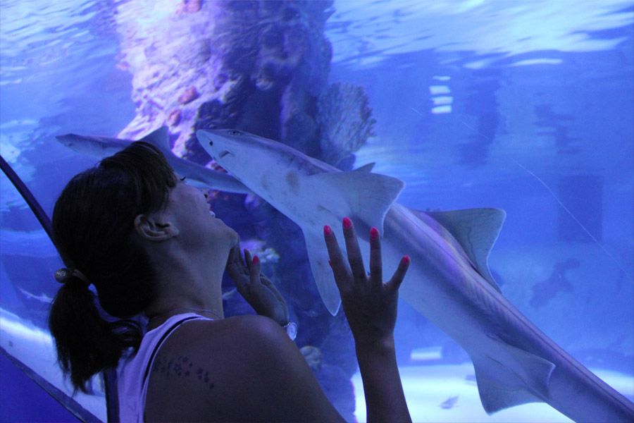 Amazing Tunnel Aquarium Tour in Antalya Half Day