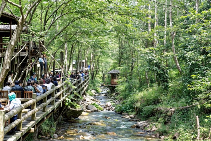 Sapanca and Masukiye Nature Tour