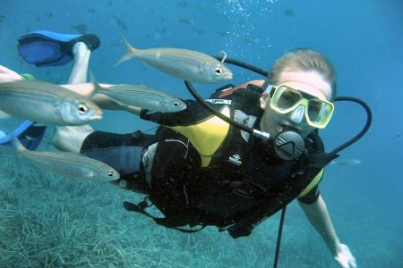 Scuba Diving for Beginners with Pick Up and Lunch