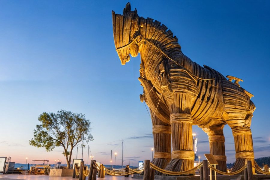 Troy Tour Full Day from Istanbul