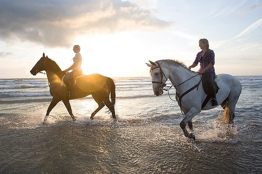 Horse Riding Safari at Lara Beaches