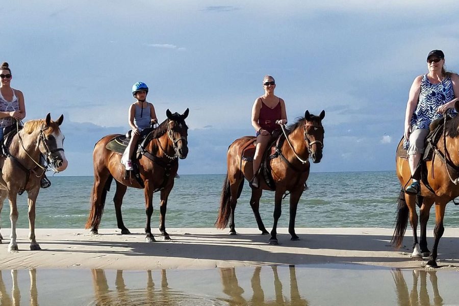 Horse Riding Safari at Lara Beaches